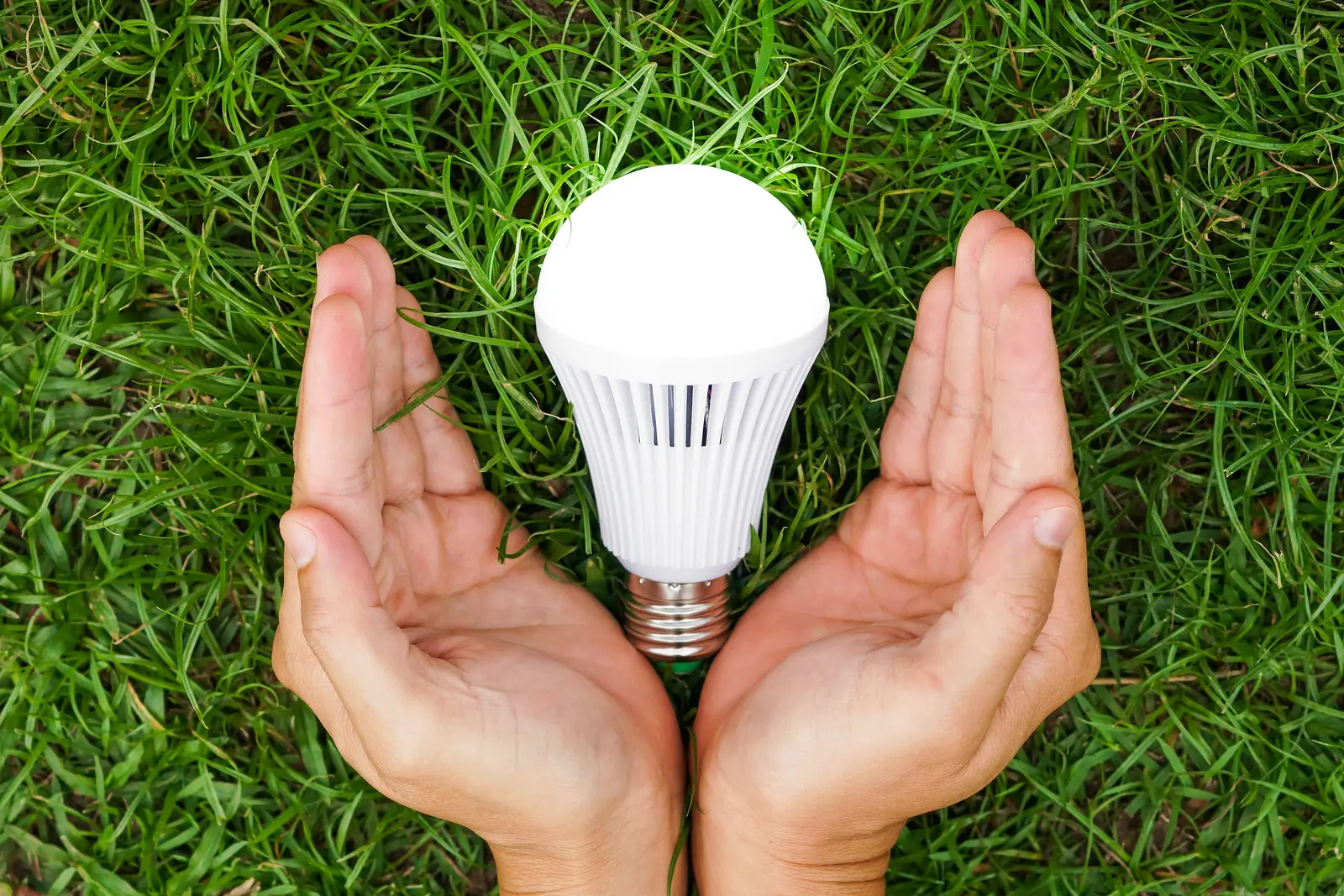Ahorra Energía con Lámparas LED de Alta Eficiencia - Which LED bulb is the most energy-efficient efficient led energy saving lamp - Which LED bulb is the most energy-efficient